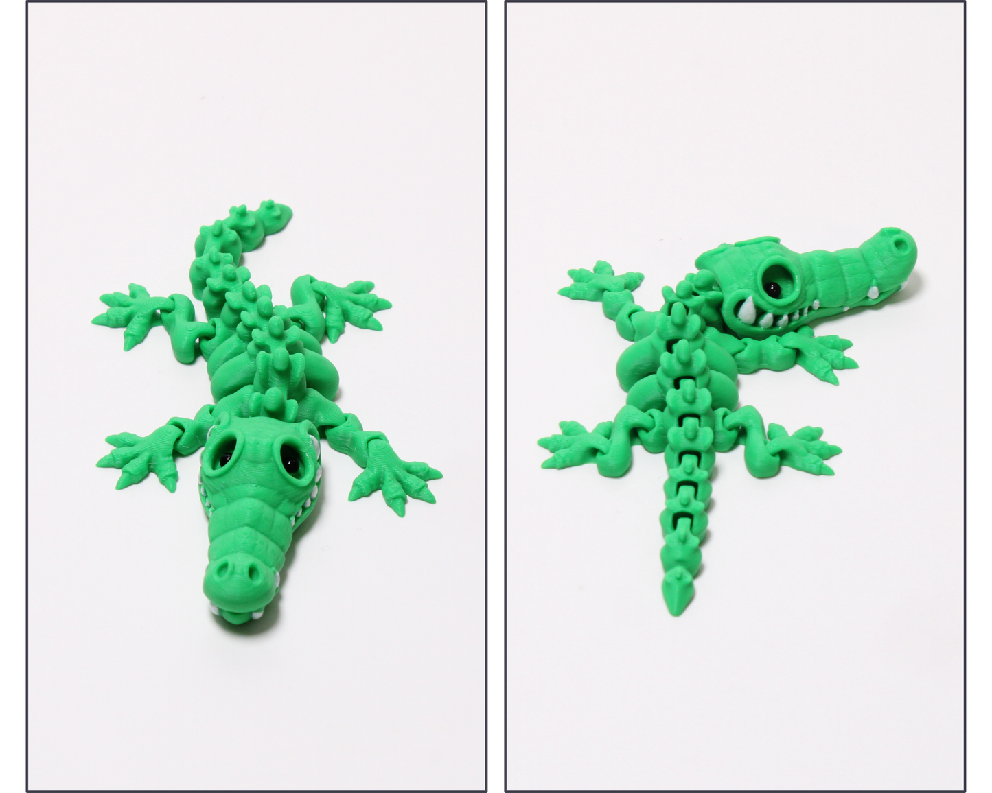 Mini Articulated Skeleton Crocodile