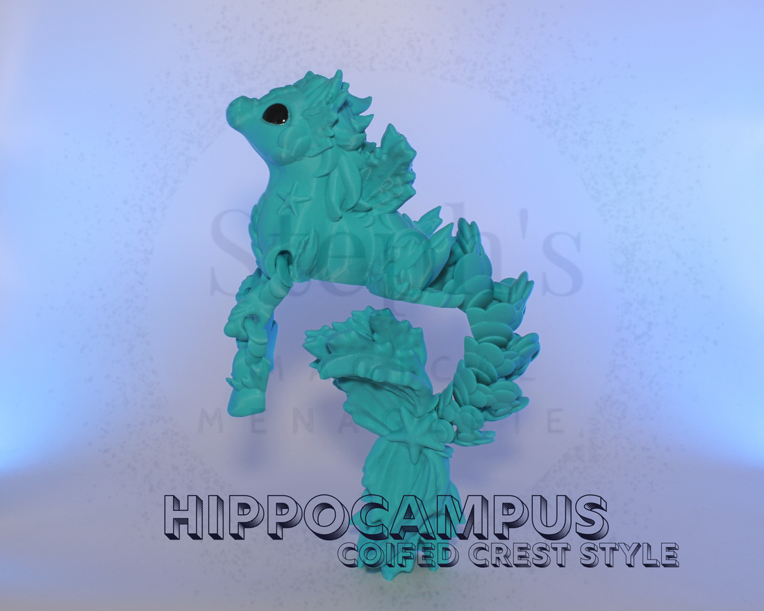 🌊 A Majestic New Arrival: The Coif‑Crested Hippocampus Emerges!