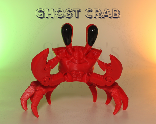 🦀 A New Scuttling Friend Has Arrived at Steph’s Magical Menagerie!
