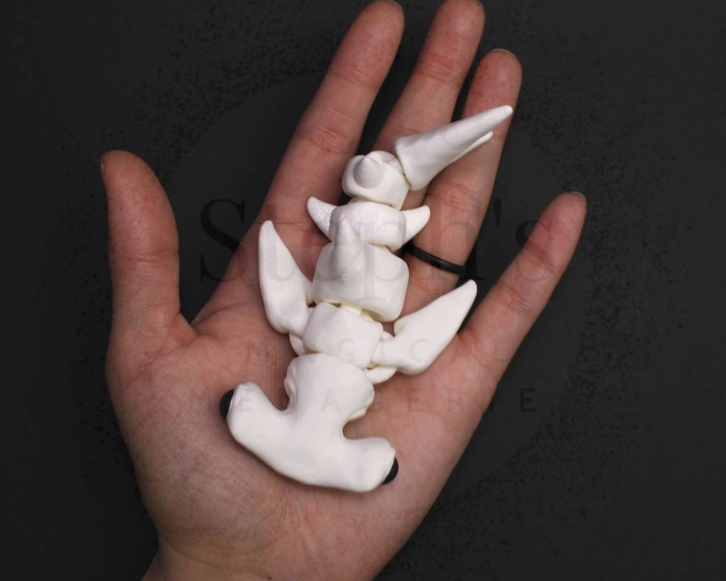 Baby Hammerhead Shark