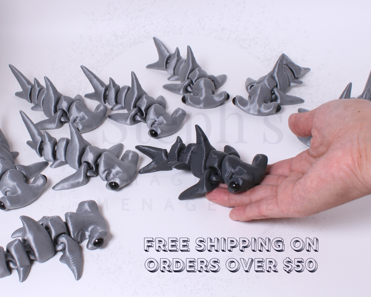 Baby Hammerhead Shark