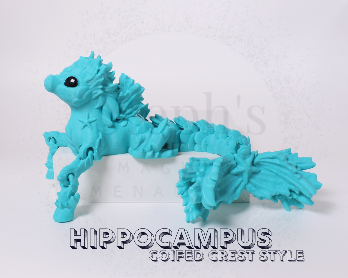 🌊 Coif‑Crested Hippocampus