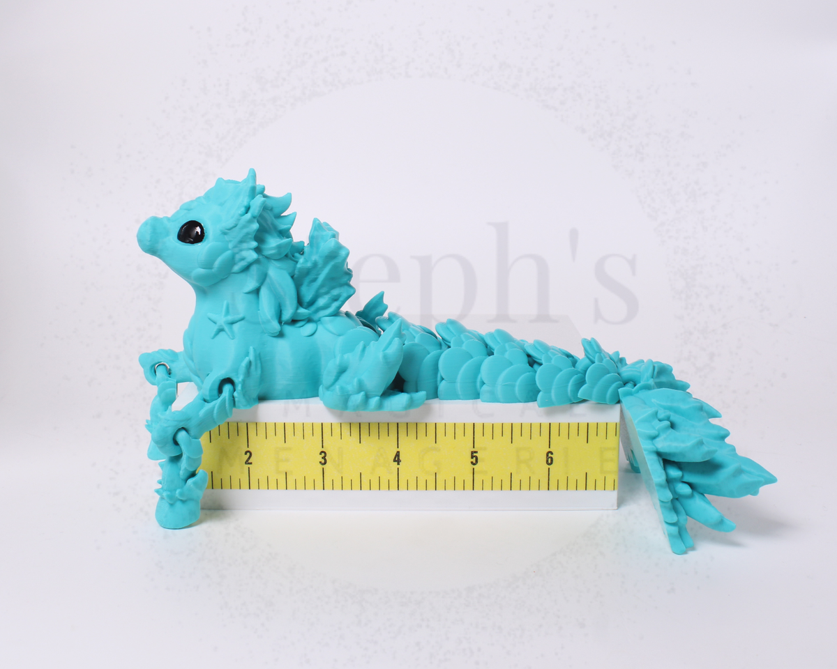 🌊 Coif‑Crested Hippocampus