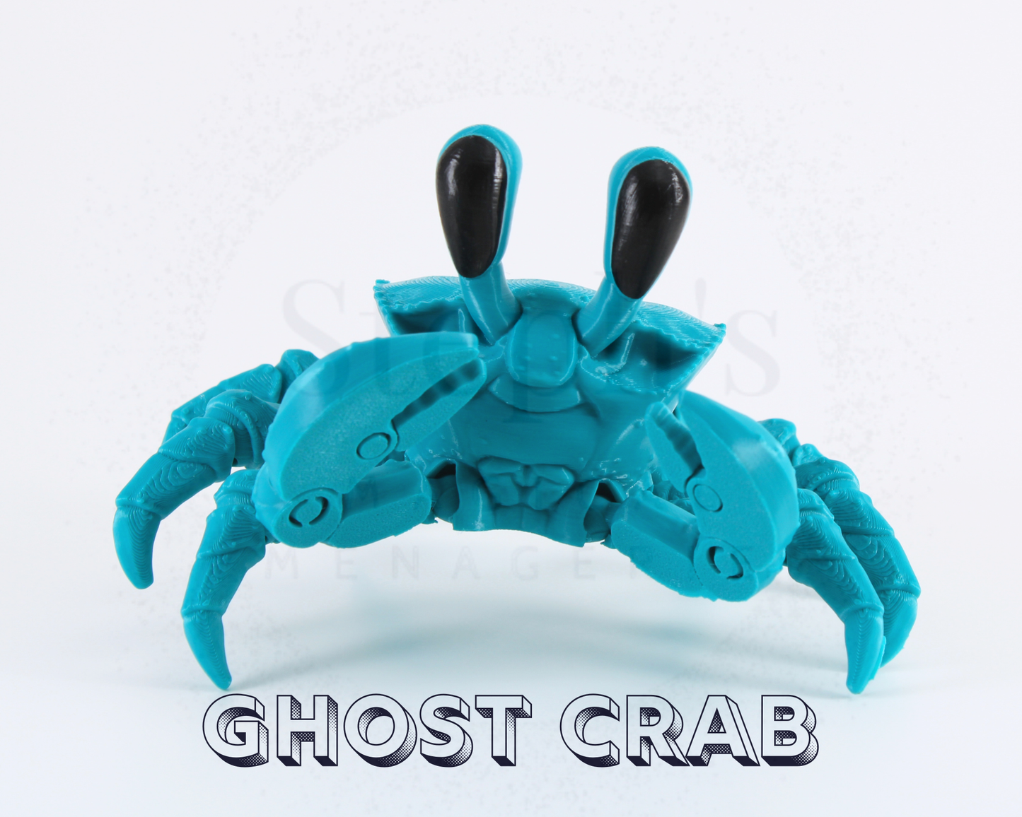 Ghost Crab