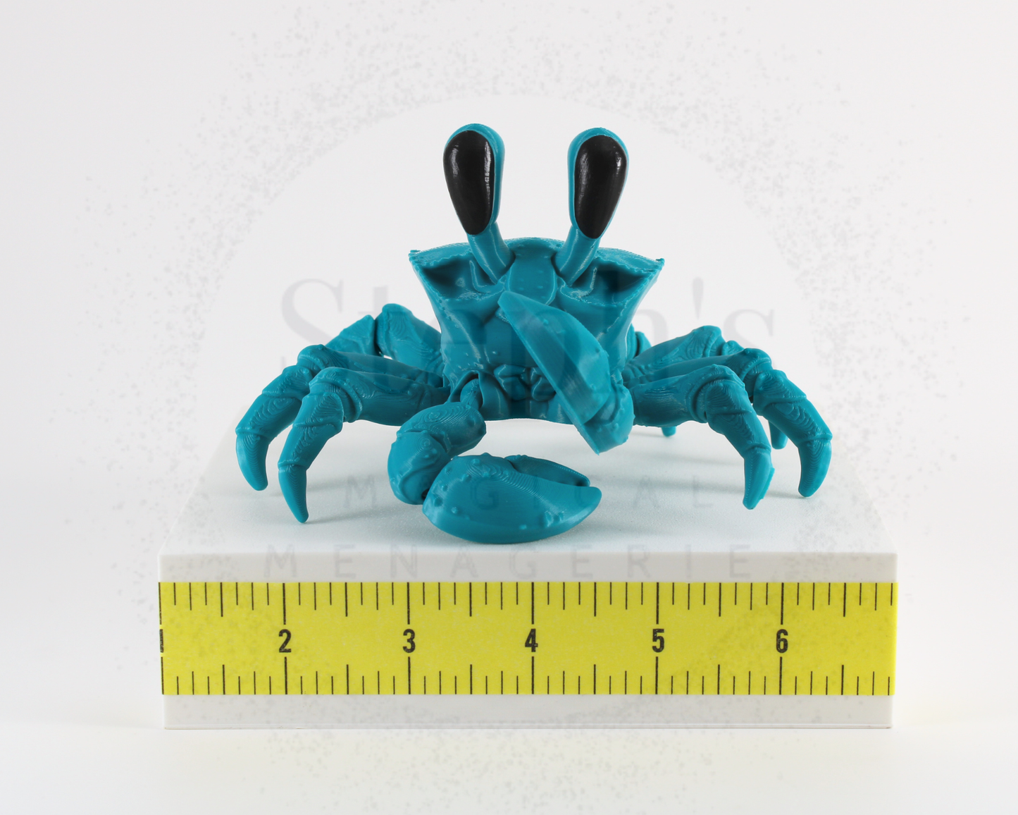 Ghost Crab