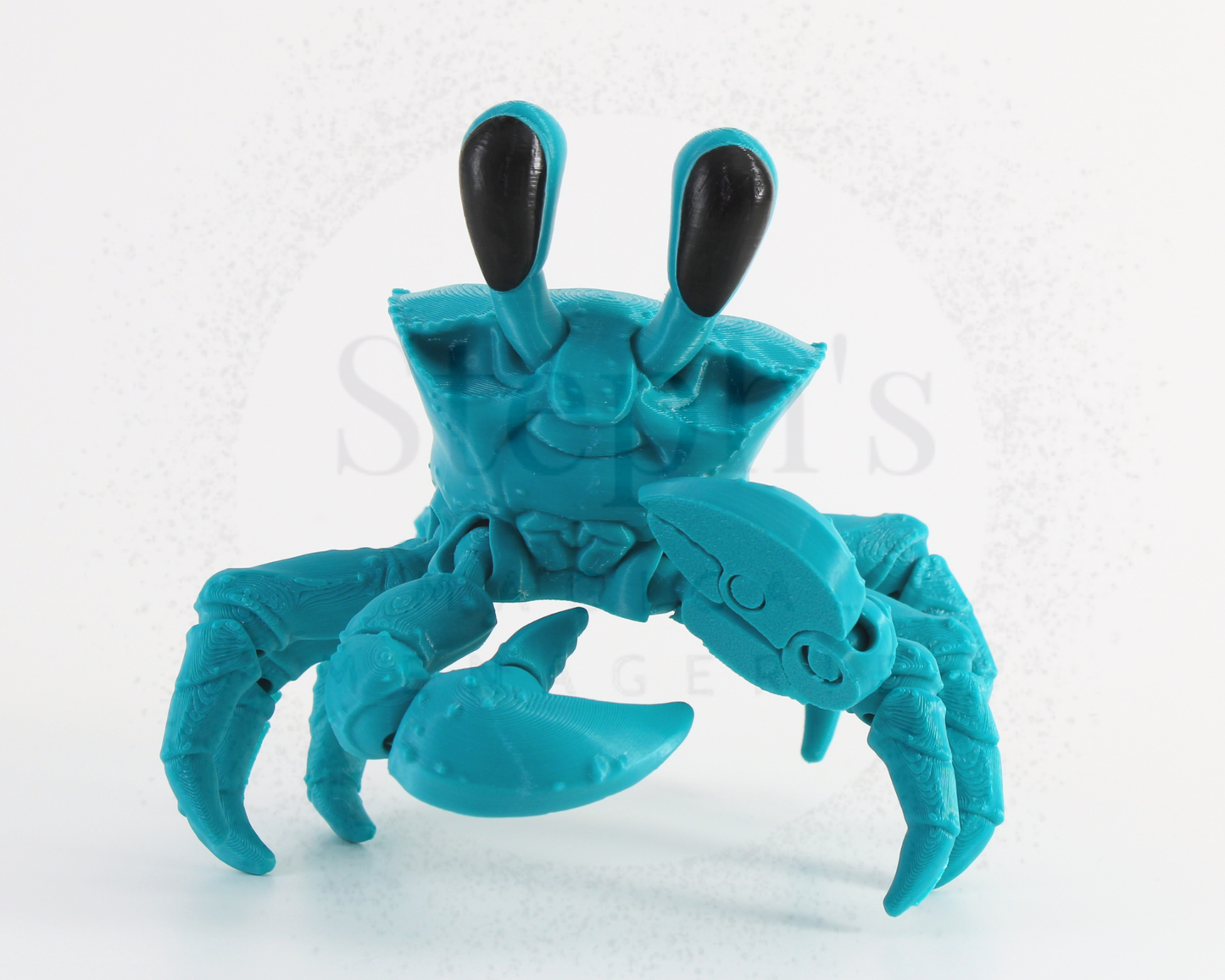 Ghost Crab