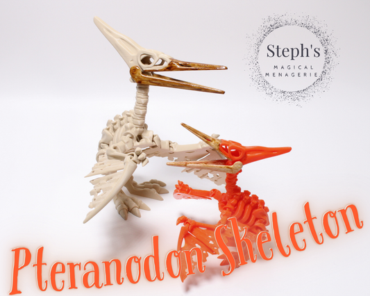 Pteranodon Skeleton