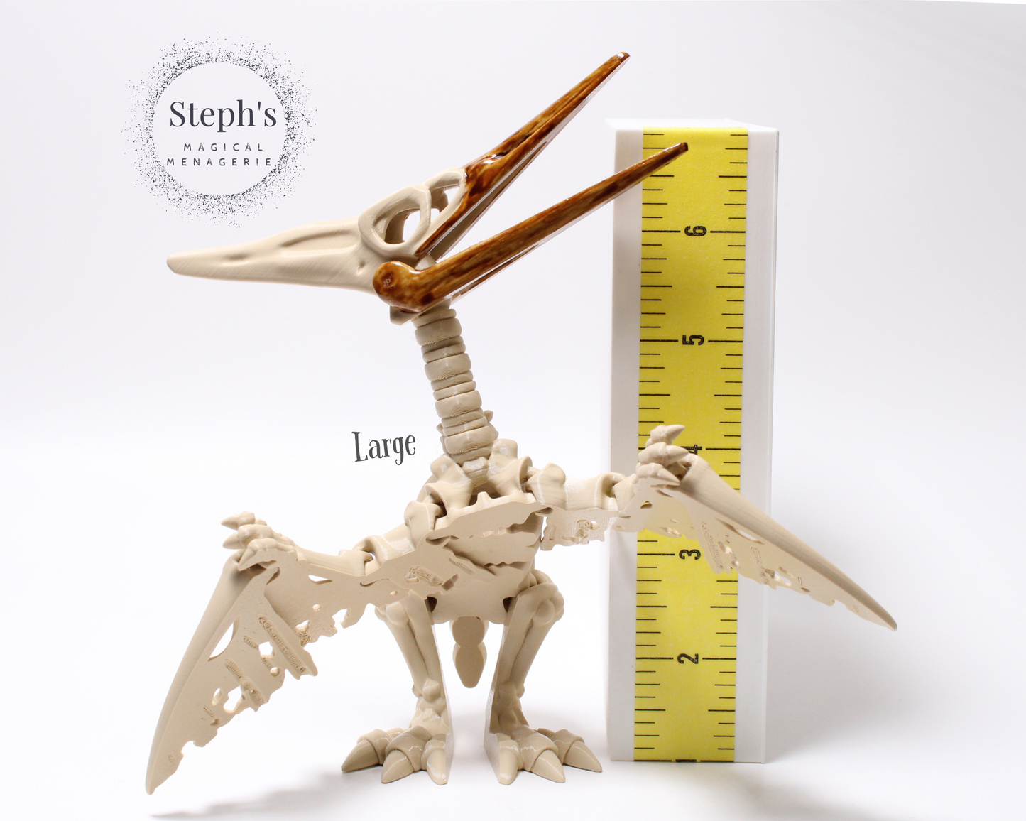 Pteranodon Skeleton