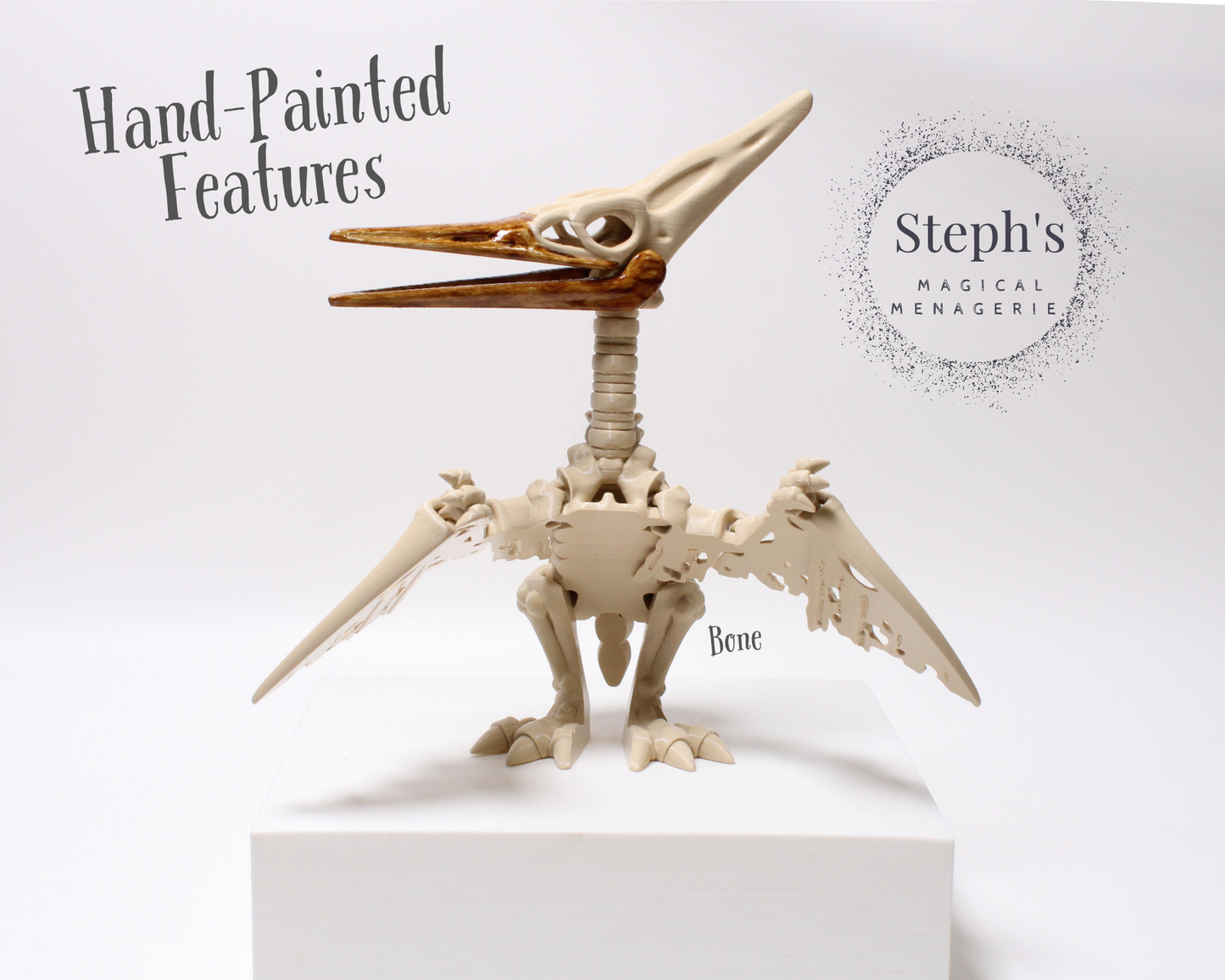 Pteranodon Skeleton