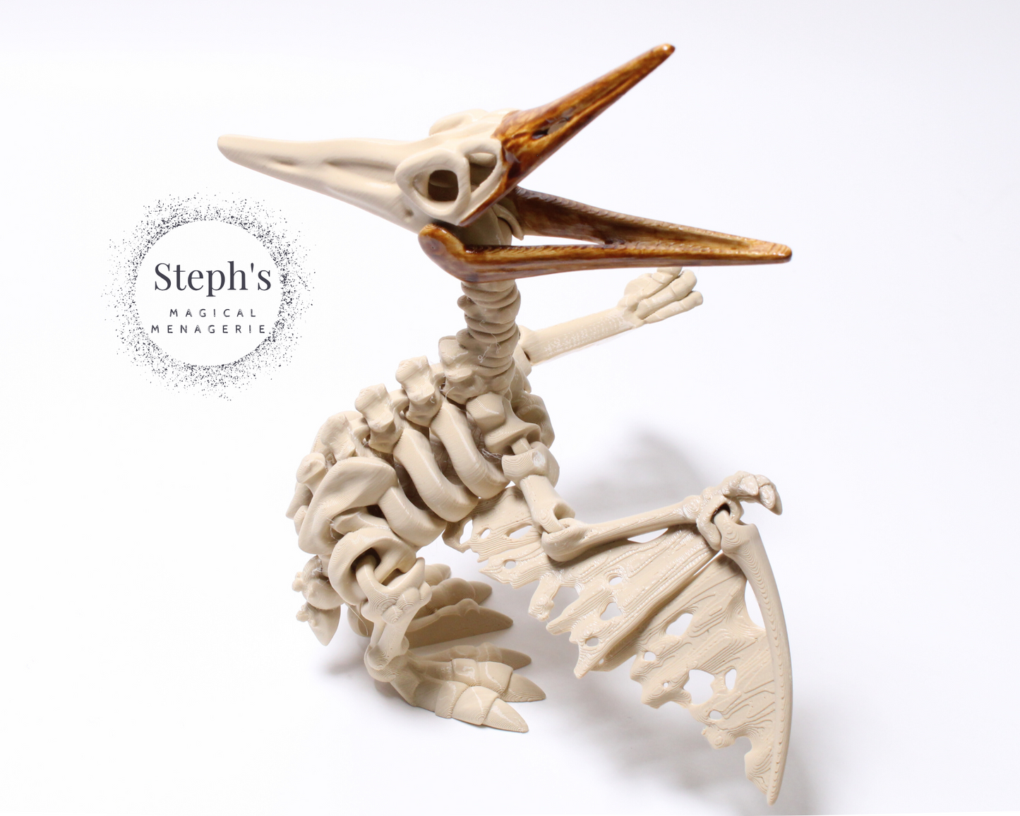Pteranodon Skeleton