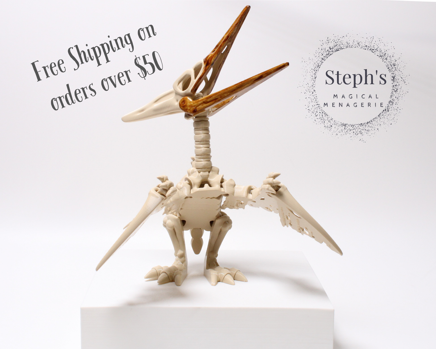 Pteranodon Skeleton