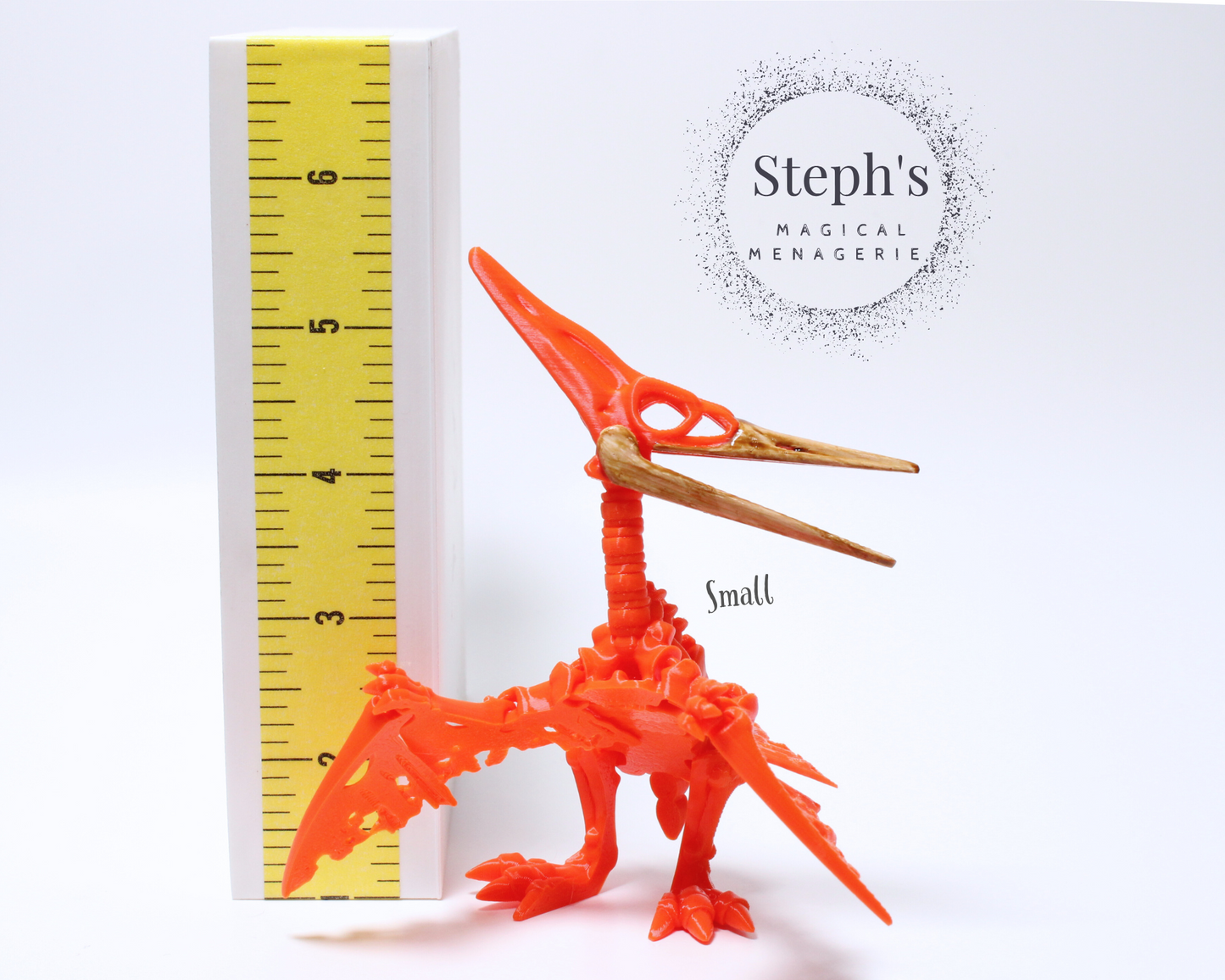 Pteranodon Skeleton